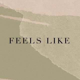 Webstore for the clothing brand Feelslike logo