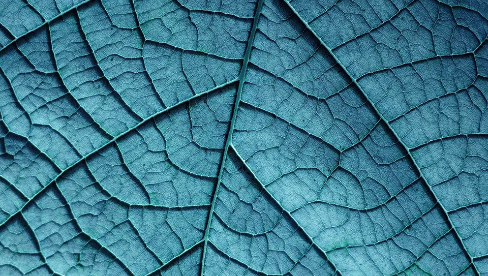 Corporate Website for Sylipsis Greece gallery image